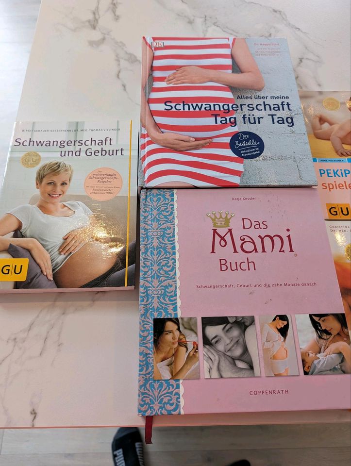 Aktuelle Schwanger Schwangerschaft Ratgeber Bücher Paket möglich in Söhlde