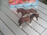 schleich Clydesdale Wallach und Stute Rheinland-Pfalz - Gönnersdorf Vorschau