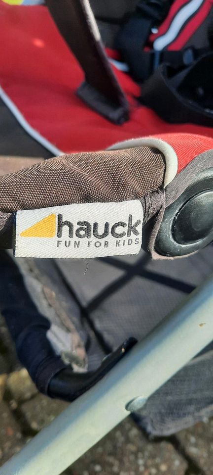 HAUCK Buggy in Haan