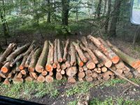 Suche Stammholz Buche Esche Eiche Fichte Brennholz Niedersachsen - Stadthagen Vorschau