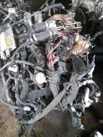 Motor  Audi  CEU  CTG 4.0TFSI  408ps v8 41tkm  komplett Mecklenburg-Vorpommern - Neubrandenburg Vorschau