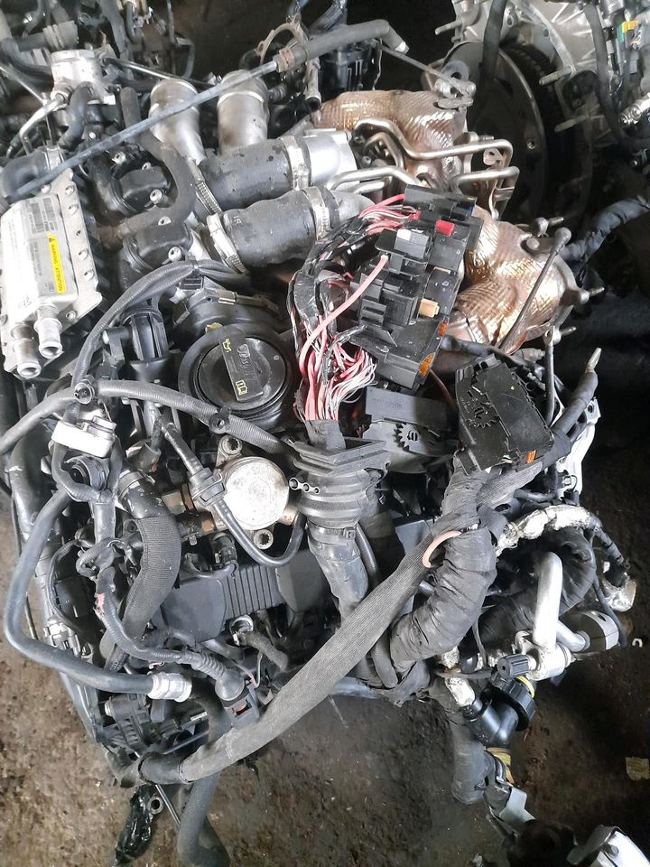 Motor  Audi  CEU  CTG 4.0TFSI  408ps v8 41tkm  komplett in Neubrandenburg