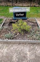 Grabstelle Grabauflösung Grabstein entsorgen Friedhof einebnen Niedersachsen - Neustadt am Rübenberge Vorschau