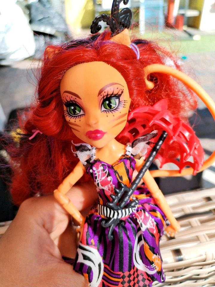 Monster High Freak du chic Toralai stripe in Ostercappeln