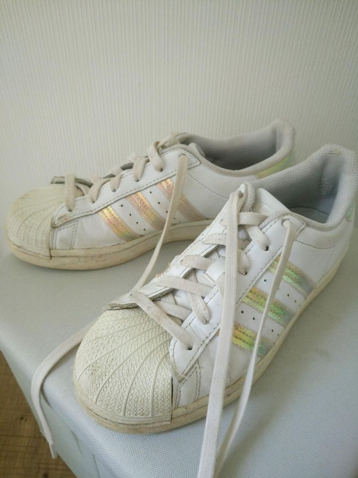 Adidasschuhe Gr. 38 in Wernigerode