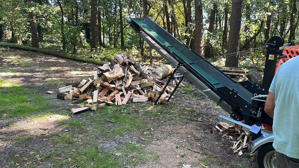 Sägespaltautomat Sägespalter inkl. Maschinenführer in Lengerich