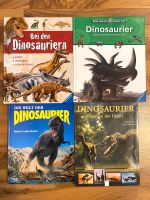 ⭐️ 4 verschiedene Dinosaurier Bücher ⭐️ Hessen - Meinhard Vorschau