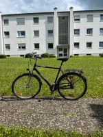 Fahrrad 28 Zoll, Carver guter Zustand Nordrhein-Westfalen - Paderborn Vorschau