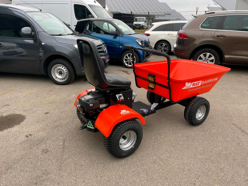 Rat Barrow - Motorschubkarre  - Schubkarre - Hoflader - Dumper in Westerheim