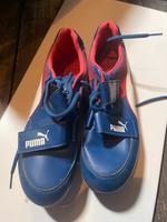 Laufschuhe Puma mit Spikes Gr. 42 Hessen - Ginsheim-Gustavsburg Vorschau
