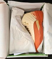 Nike Air Jordan 12 Retro Eastside Golf EUR 49,5 US 15 Rheinland-Pfalz - Mainz Vorschau