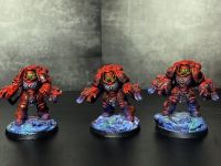 Pro Painted Space Marine Agressors Flamer wh40k Baden-Württemberg - Mudau Vorschau