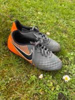Nike Rasen Fußballschuhe (38,5) Kreis Pinneberg - Appen Vorschau