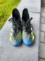 Zum Verkauf stehen ein paar Adidas fussballschuhe Predator Rheinland-Pfalz - Höheinöd Vorschau