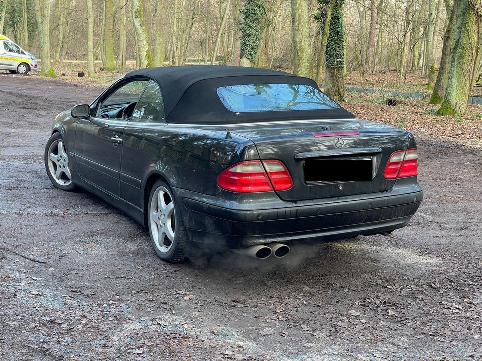 Mercedes Benz CLK Cabrio 230Kompressor LPG in Böblingen