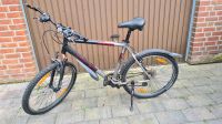 Trek 3900 Mountainbike Nordrhein-Westfalen - Kleve Vorschau