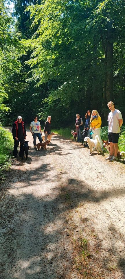 Hundegruppe - Social Walk und vieles mehr in Drochtersen