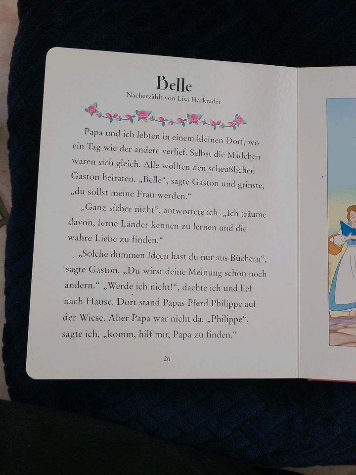 Buch- Disney Prinzessin in Niederkassel
