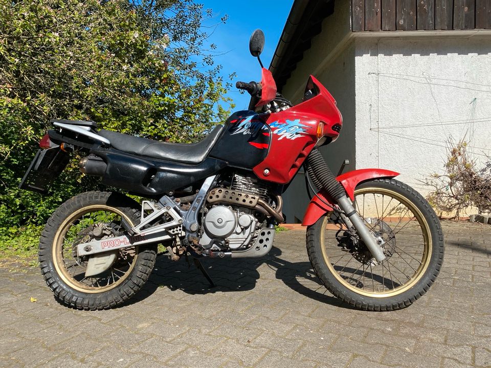 Honda NX 650 Dominator in Strullendorf