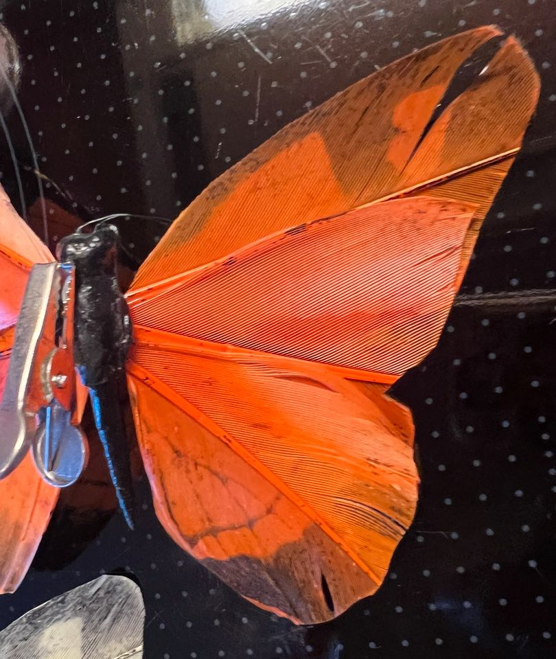 Schmetterlinge mit Metallclip Neu Aus Federn in Wolfsburg