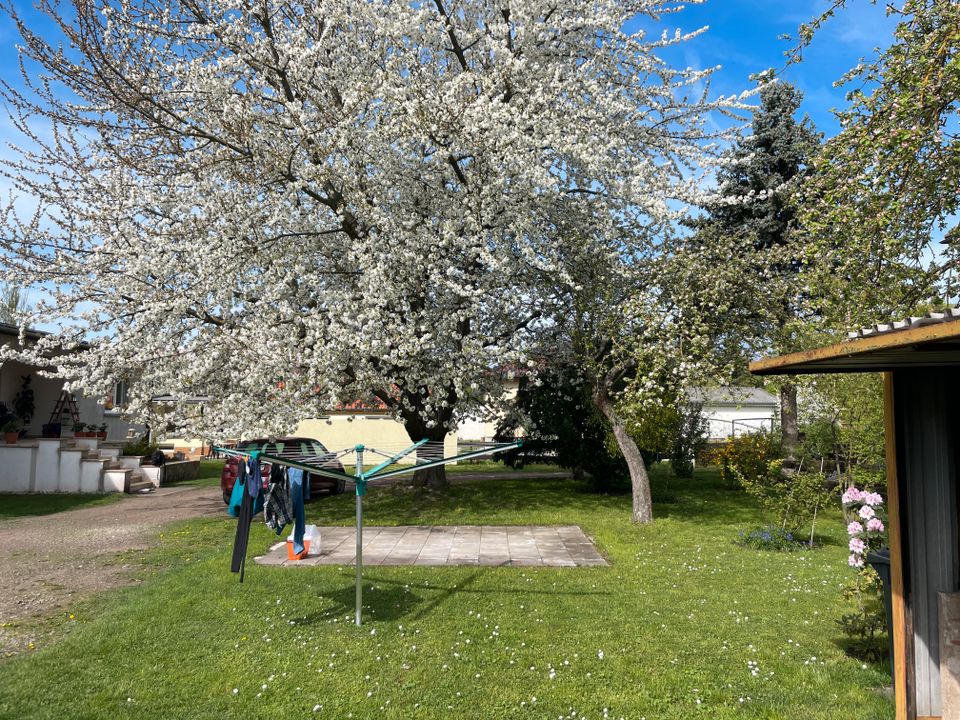 Einfamilienhaus mit Nebengebäude in ruhiger Lage in Nordhausen