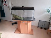 Aquarium 110 l Baden-Württemberg - Lahr (Schwarzwald) Vorschau