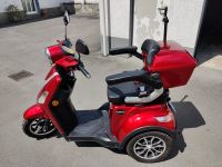 Rolektro E-Trike 25 V.3 mit Abdeckung Hessen - Reichelsheim (Wetterau) Vorschau