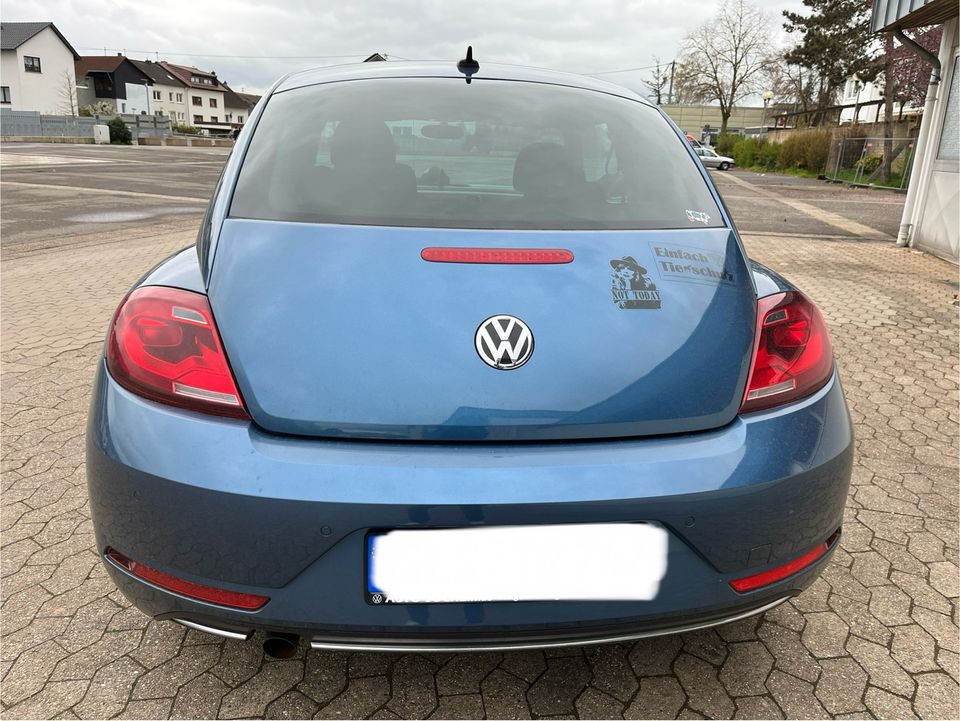 Volkswagen Beetle 1.2 TSI  ALLSTAR  Klima Navigation Sitzheizung in Neunkirchen