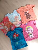 Mädchen T-Shirt Paket Gr 116 4 Stück Hessen - Hünstetten Vorschau