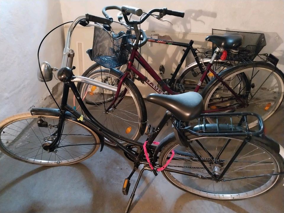 Fahrräder gebraucht in Duisburg