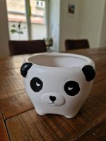 Panda Blumentopf Bayern - Augsburg Vorschau