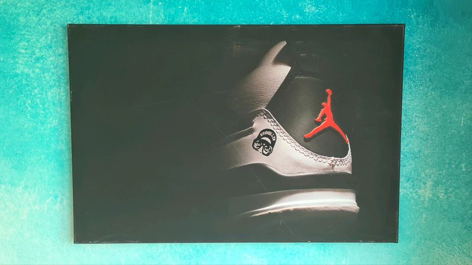 Nike Air Jordan 4 IV Mars Blackmon Spike Lee Kunst Leinwand Art in Köln