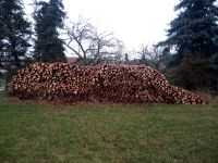 Holz zu verkaufen Brandenburg - Dahme/Mark Vorschau