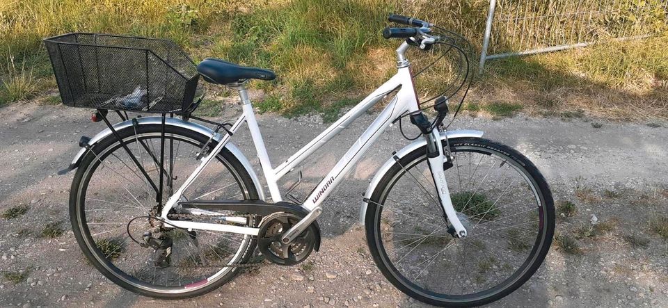 koga miyata Damen Fahrrad 28zoll 27gang in München