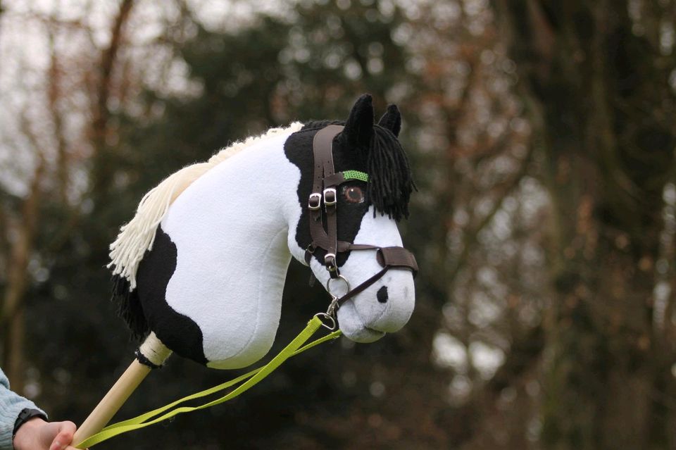 Finnisches Hobbyhorse/Steckenpferd gescheckt und gepfleckt in Velbert