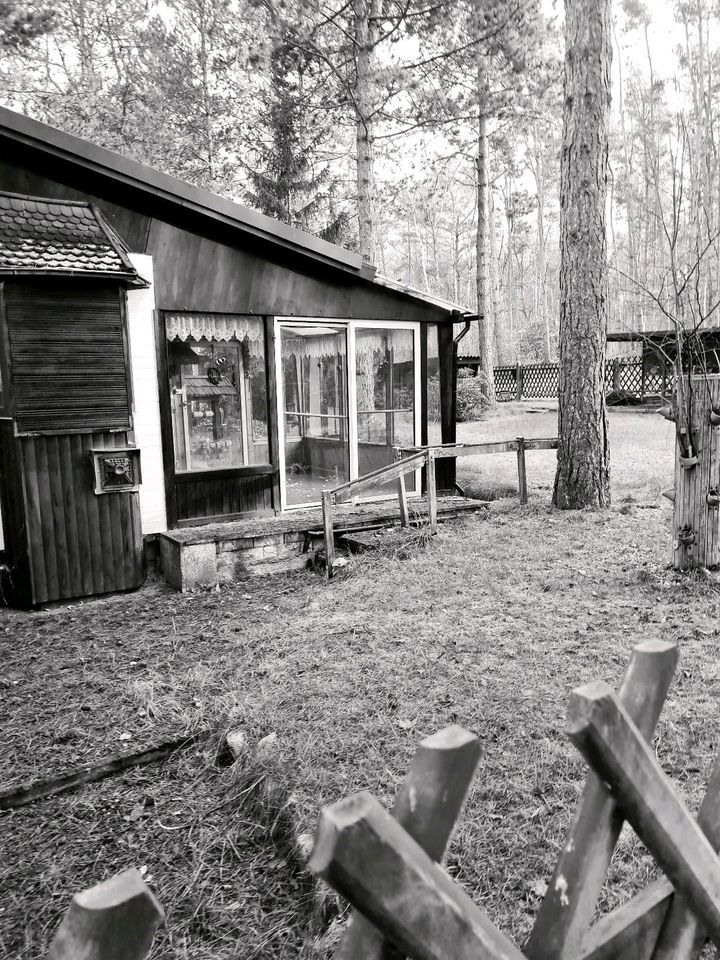 Wochenendgrundstück in Eilenburg