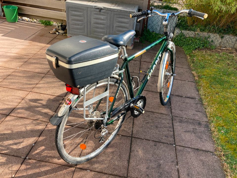 Giant Freerider 1x Herren und 1x Damenrad 28" wenig genutzt. in Roth