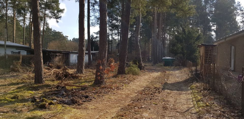 ABSTELLPLATZ VERFÜGBAR! Ideal für Wohnwagen, Lagerung und mehr! in Löwenberger Land-Nassenheide