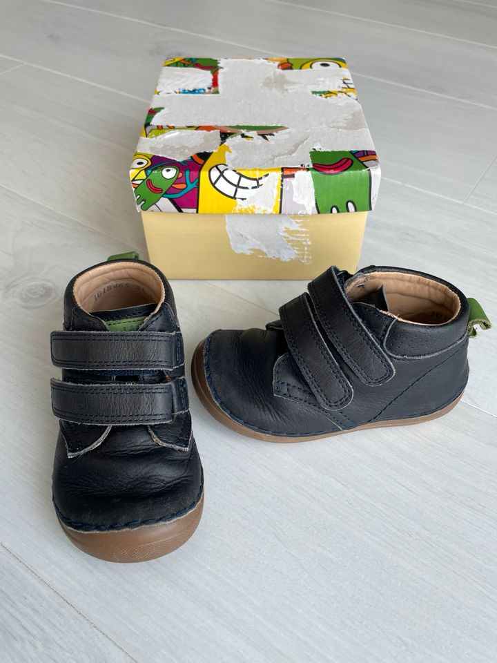 Froddo Gr. 21 Minimalistische Barfußschuhe Sneaker Echtleder in Niedernhausen