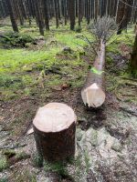 Wald Waldgrundstück Nordrhein-Westfalen - Attendorn Vorschau