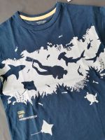 NEU Vertbaudet TSHIRT Taucher 128 marine, weiß Bayern - Karlstein Vorschau