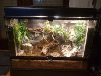 Exo Terra Glasterrarium 60x90x45 Nordrhein-Westfalen - Tecklenburg Vorschau