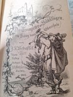 Der Trompeter von Säkkingen  1865 4te Auflage Baden-Württemberg - Winterlingen Vorschau