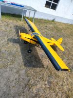 Segull Schick Cup 2.59 m  RC Modellflieger Alaska Buschflieger Niedersachsen - Dinklage Vorschau