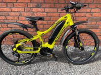 HAIBIKE SDURO HARDFOUR 1.0 LIME/TITAN/SCHWARZ 2020 Niedersachsen - Wallenhorst Vorschau