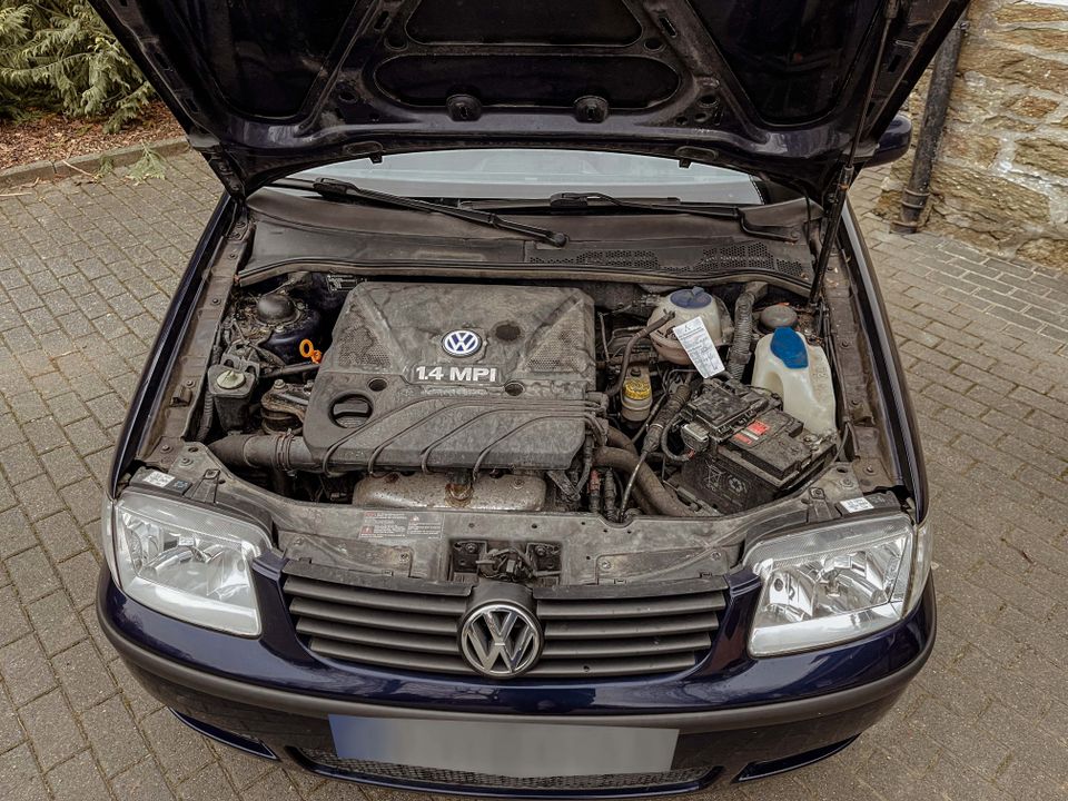 Volkswagen Polo 1.4 44kW Edition - Beschädigtes Fahrzeug in Solms