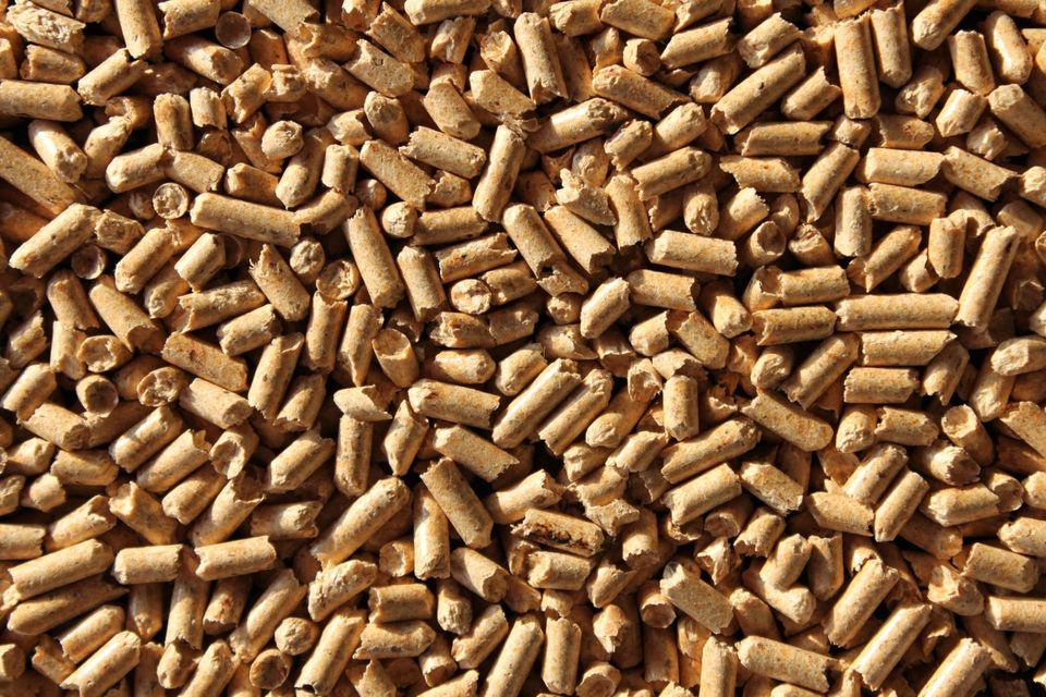 Holzpellets Pferdeeinstreu 1050 kg staubfreies Pferdebett in Gerzen