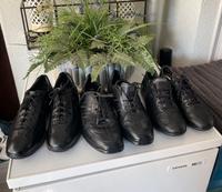 Lloyd Gr 42.5,Hogan Gr 42,5,Panama Jack Gr 43 Hessen - Raunheim Vorschau