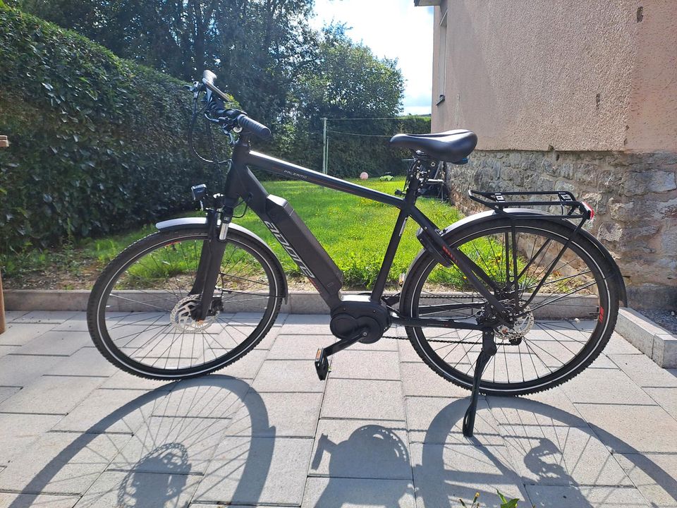 Herren E BIKE in Höhr-Grenzhausen