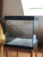 AQUARIUM KOMPLETTSET - PERFEKT ALS GESCHENK GEEIGNET Bayern - Dinkelsbuehl Vorschau